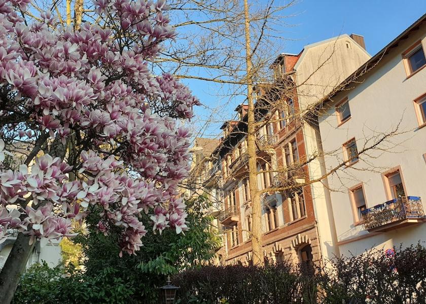 Baden-Wuerttemberg Baden-Baden Exterior Detail