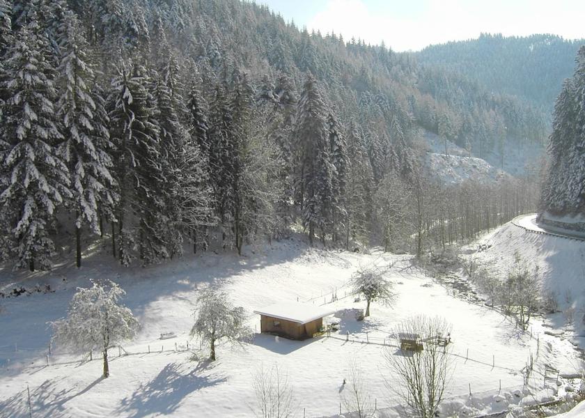 Baden-Wuerttemberg Oppenau View from Property