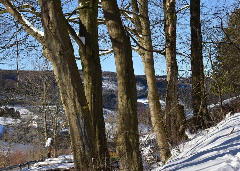 North Rhine-Westphalia Olsberg View from Property