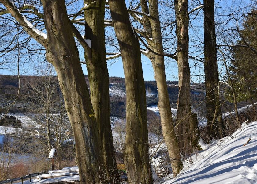 North Rhine-Westphalia Olsberg View from Property