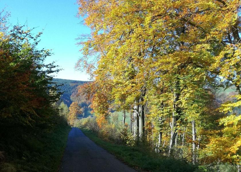 North Rhine-Westphalia Olsberg Exterior Detail