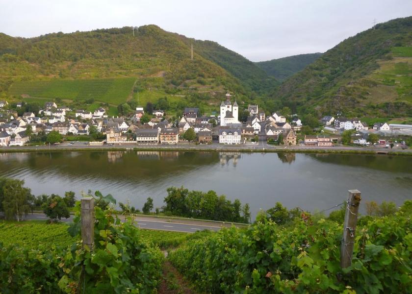Rhineland-Palatinate Treis-Karden Lake
