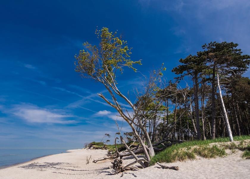 Mecklenburg-West Pomerania Ostseebad Prerow Beach