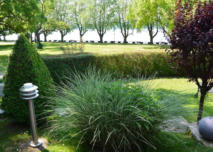 Baden-Württemberg Radolfzell am Bodensee Garden