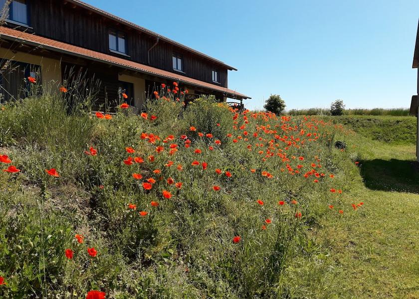 Saxony-Anhalt Oberharz am Brocken Exterior Detail