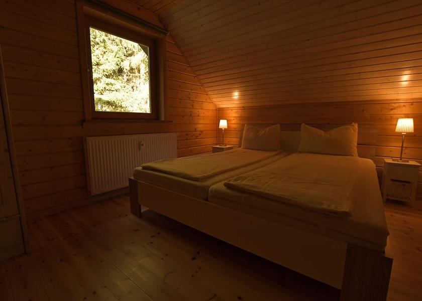 Saxony-Anhalt Oberharz am Brocken Room