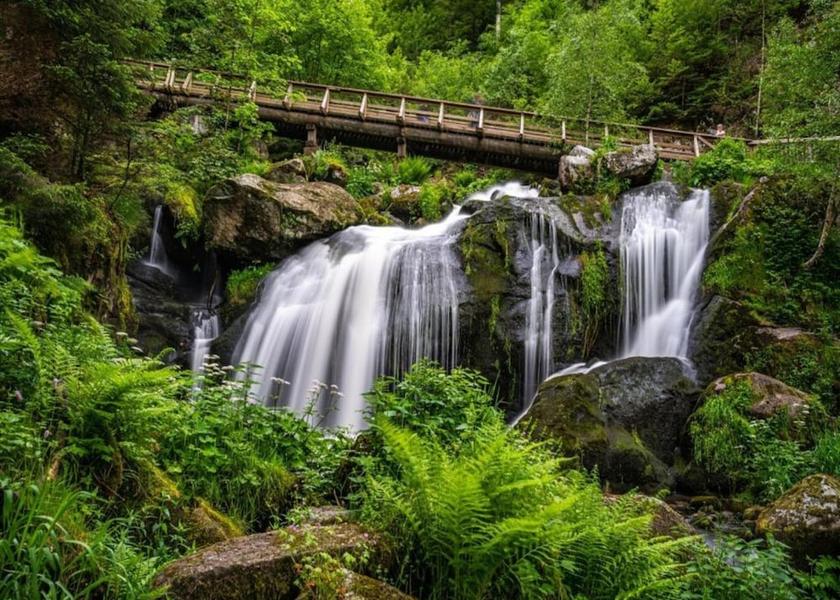 Baden-Württemberg Sankt Georgen im Schwarzwald View from Property
