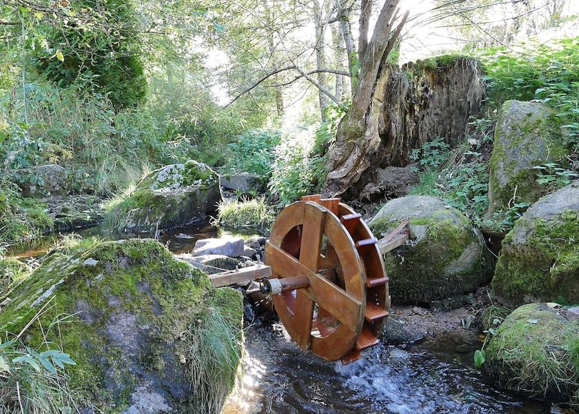 Baden-Württemberg Sankt Georgen im Schwarzwald Garden