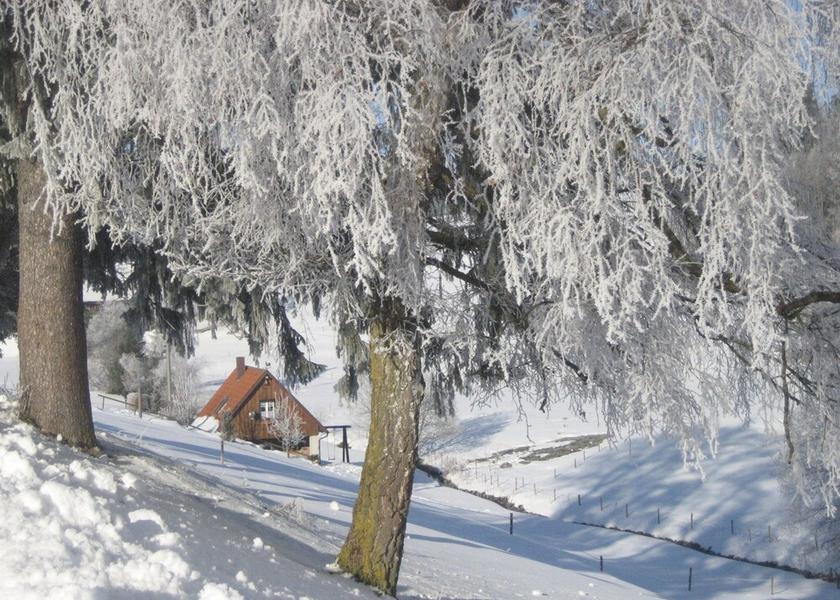 Baden-Württemberg Sankt Georgen im Schwarzwald Exterior Detail