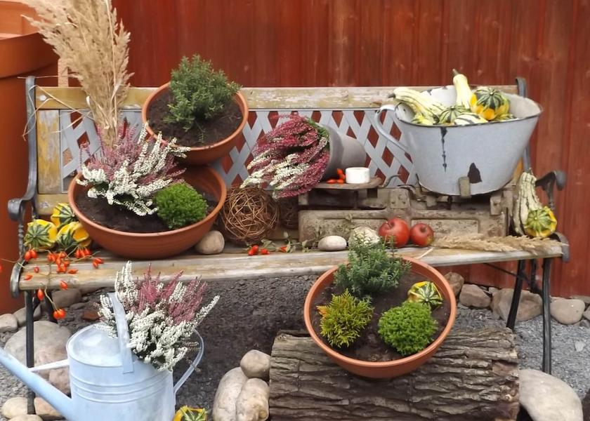 Saxony Pirna Interior Entrance