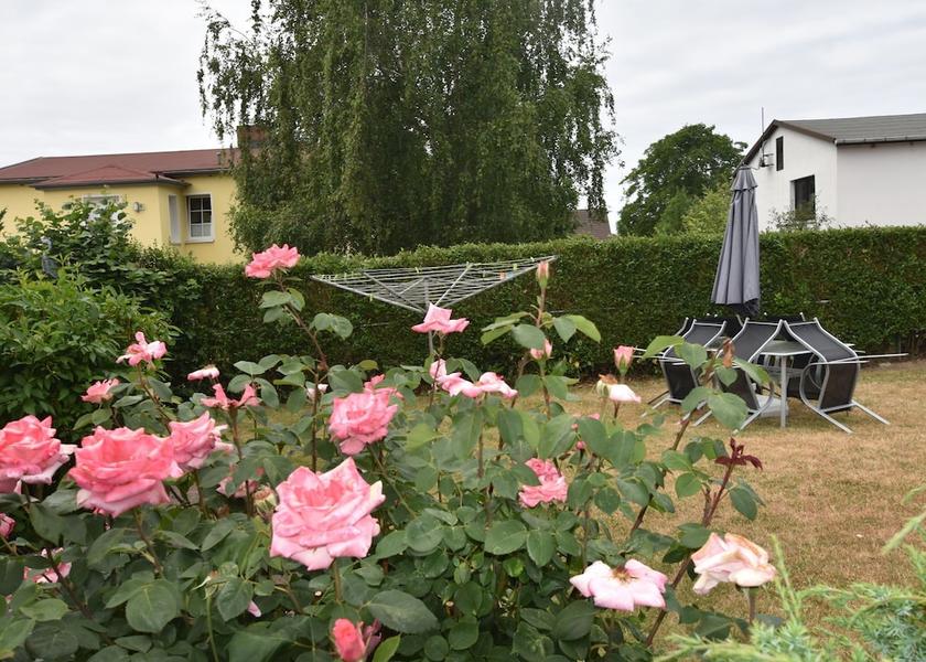 Mecklenburg-West Pomerania Rerik Garden