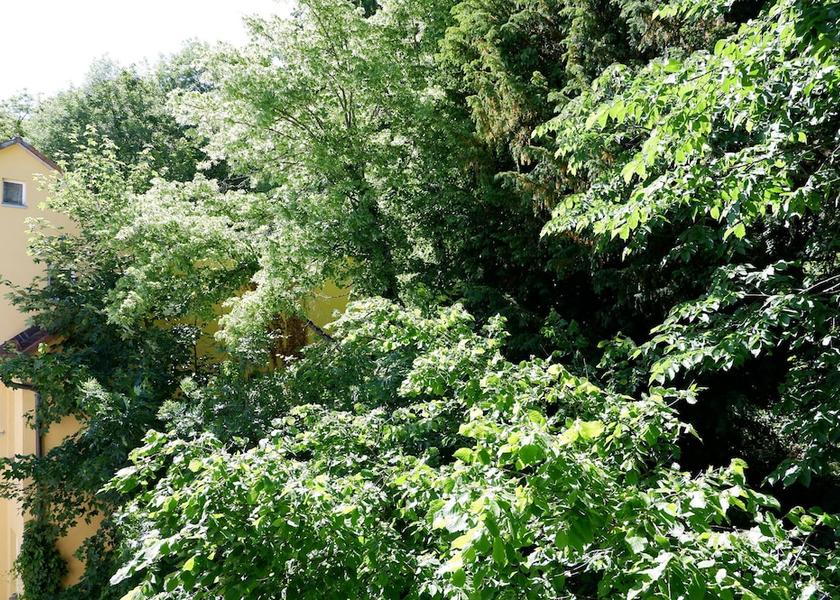 Baden-Wuerttemberg Rottenburg Exterior Detail