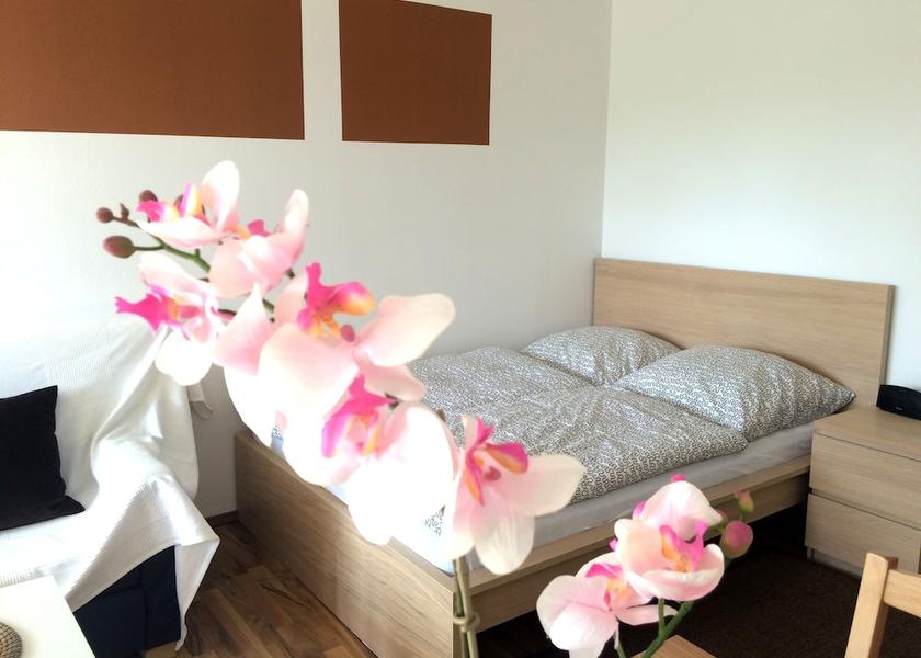 Bavaria Regensburg Room