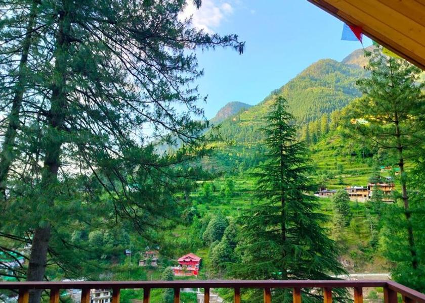 Himachal Pradesh Jibhi 1025