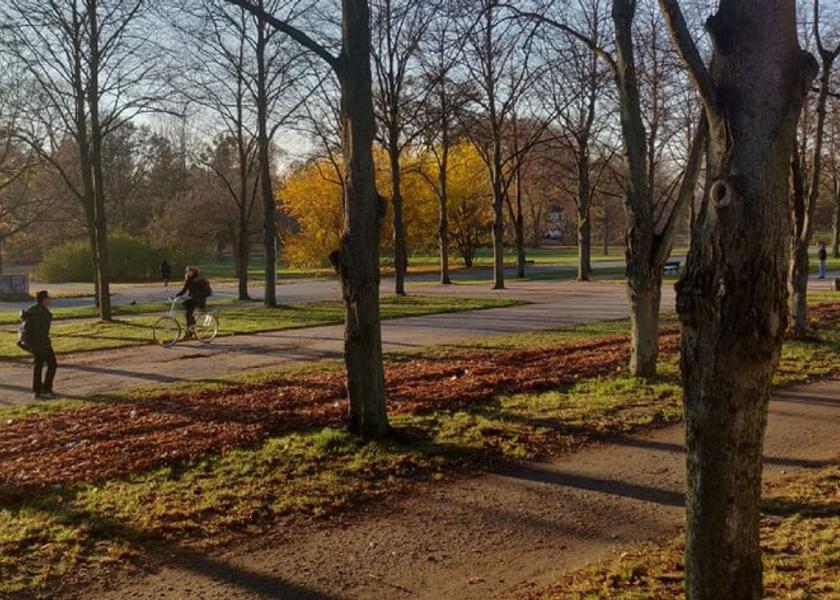 Lower Saxony Hannover Exterior Detail