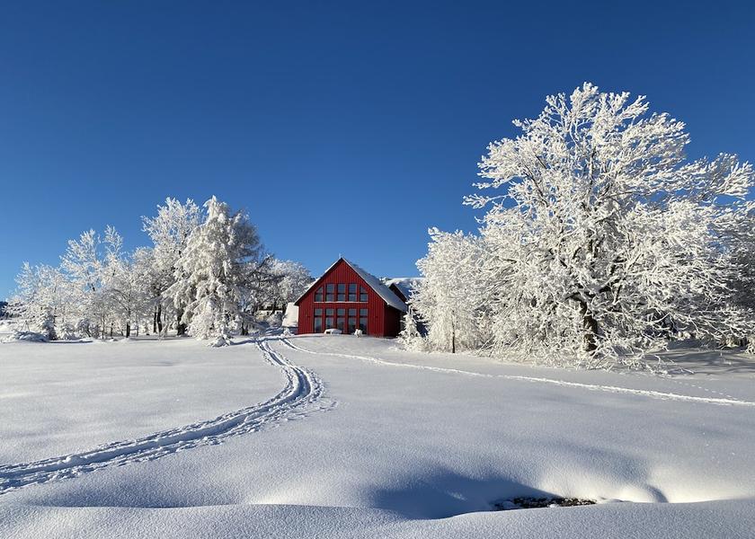 Saxony Altenberg Exterior Detail