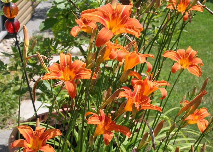 Hessen Bensheim Point of interest