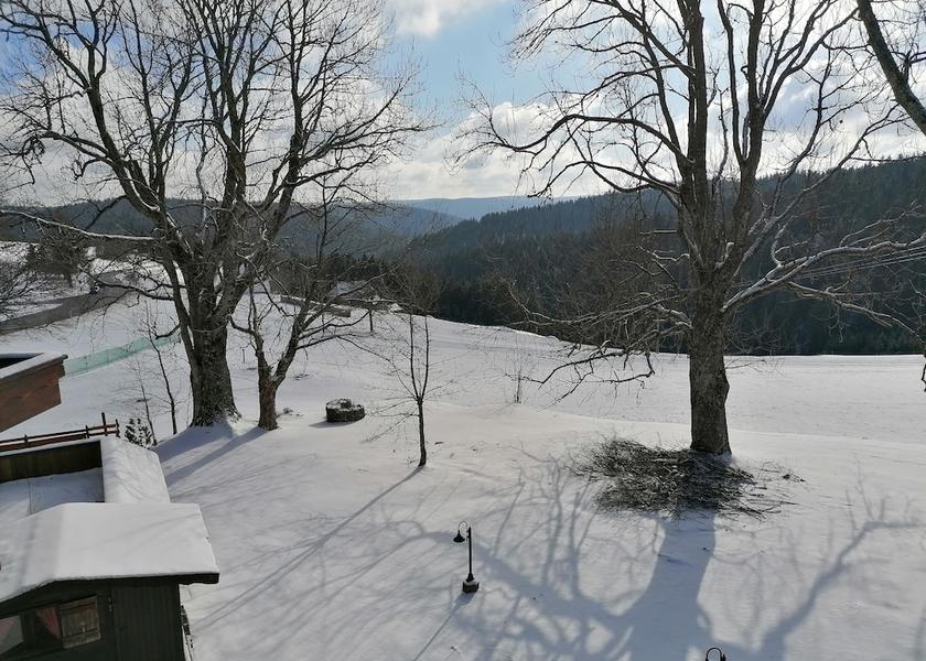 Land View from Property