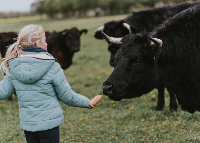 Schleswig-Holstein Groemitz Exterior Detail