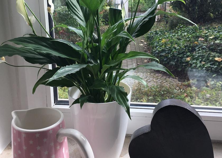 Thuringia Erfurt Interior Entrance