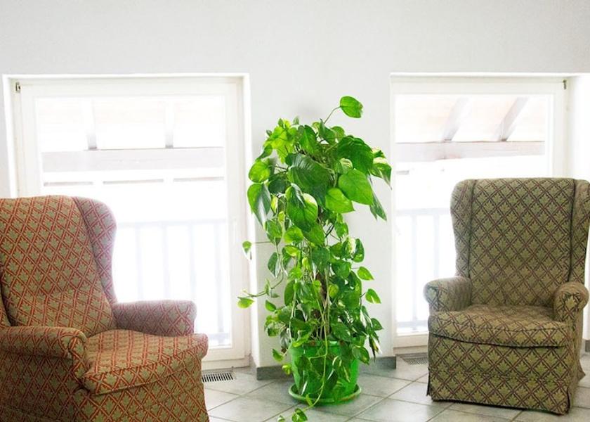 Baden-Wuerttemberg Ravensburg Interior Entrance