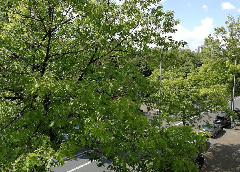 Hessen Offenbach am Main Facade