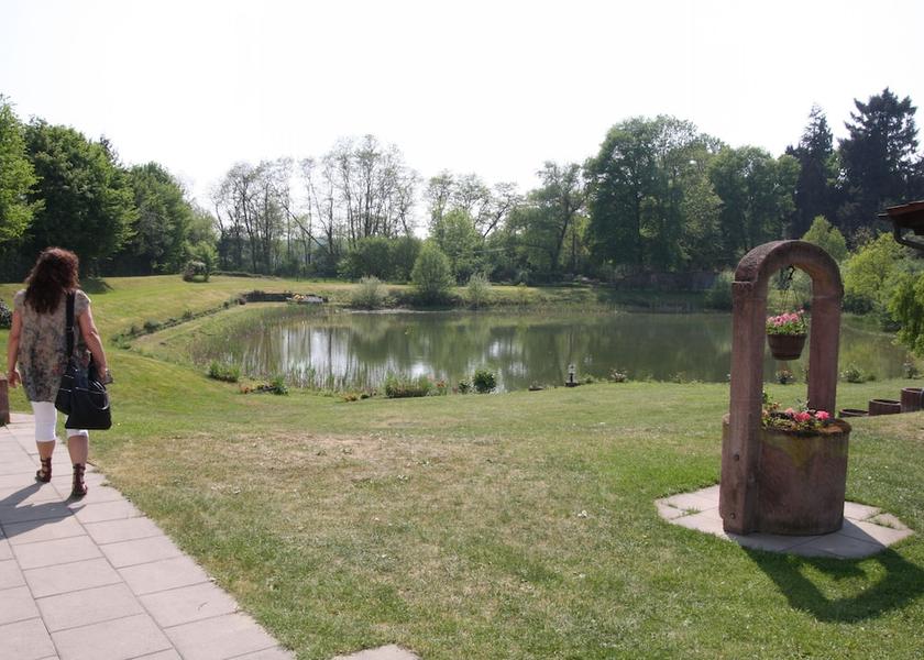 Baden-Wuerttemberg Offenburg Garden