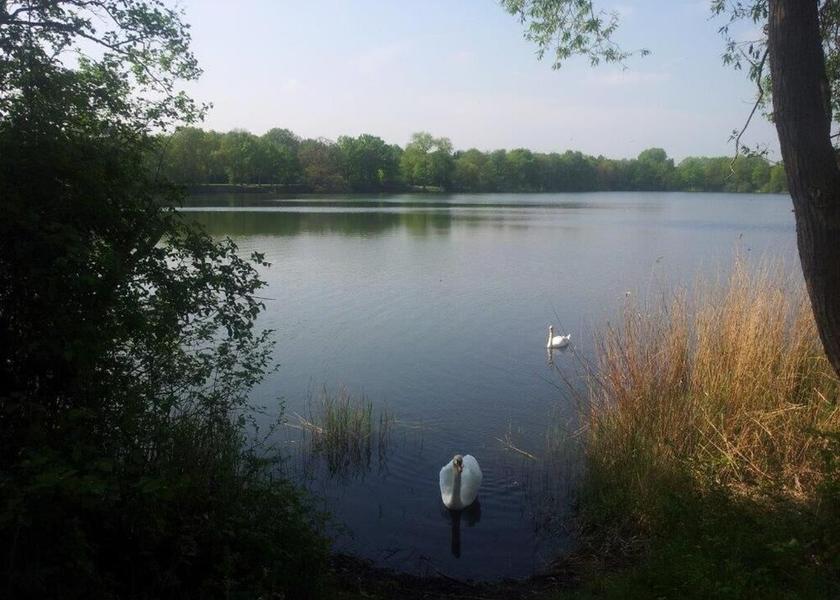 Lower Saxony Garbsen Lake