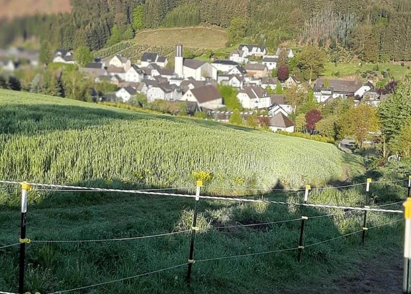 North Rhine-Westphalia Bestwig View from Property