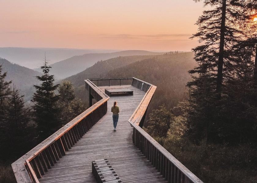 Land View from Property