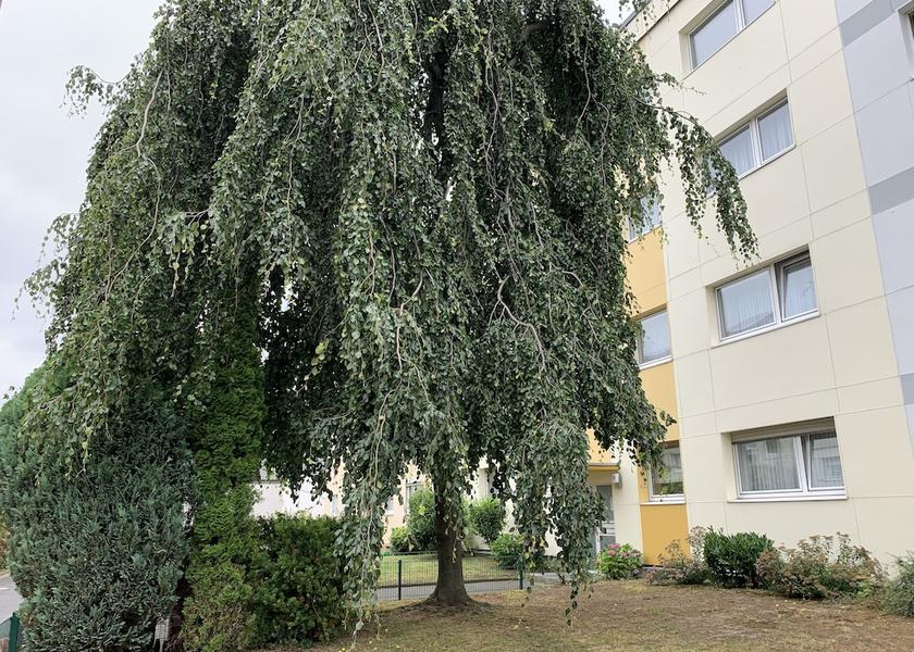 North Rhine-Westphalia Troisdorf Exterior Detail