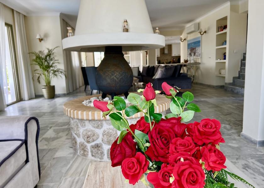 Peloponnese Region Ermionida Living Area
