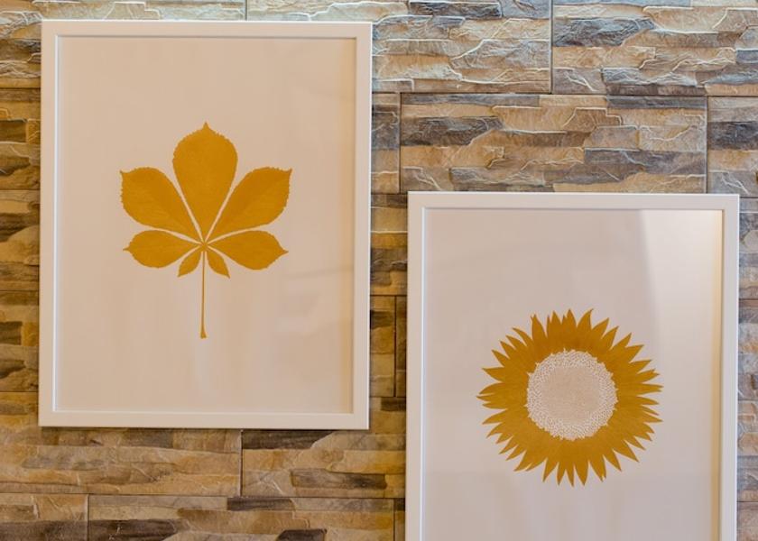 Crete Island Mylopotamos Interior Entrance