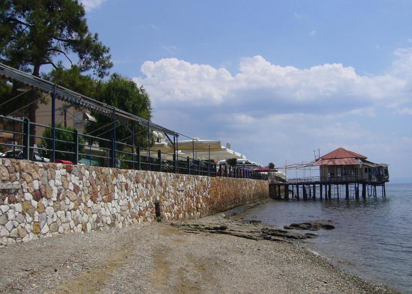 Surrounding environment