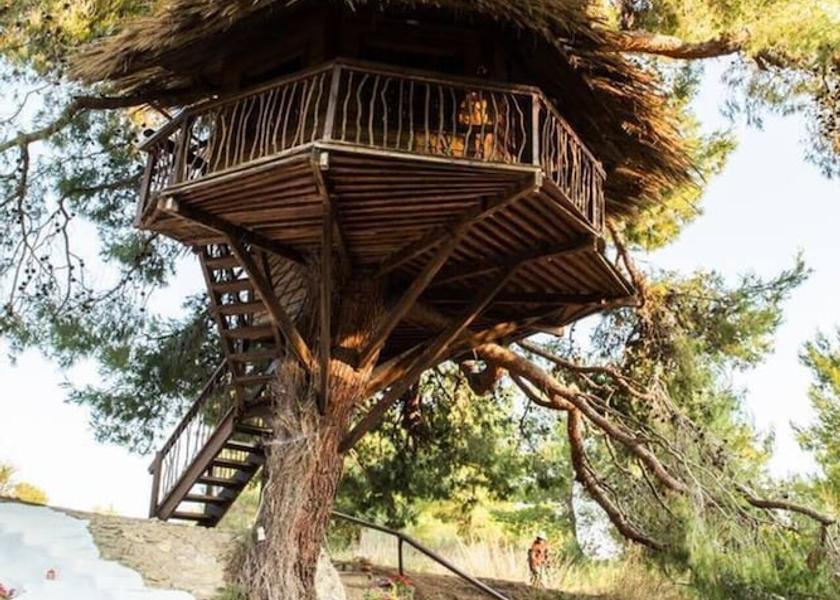 Western Greece Ilida Property Grounds