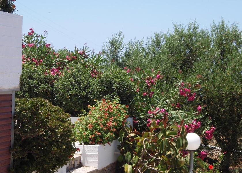 Crete Chania Property Grounds