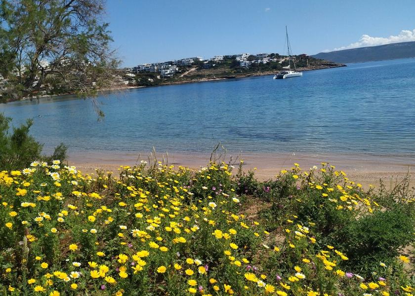 Attica Lavreotiki Beach