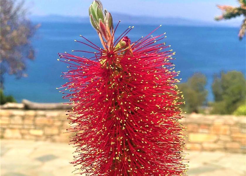 Thessalia South Pelion Exterior Detail