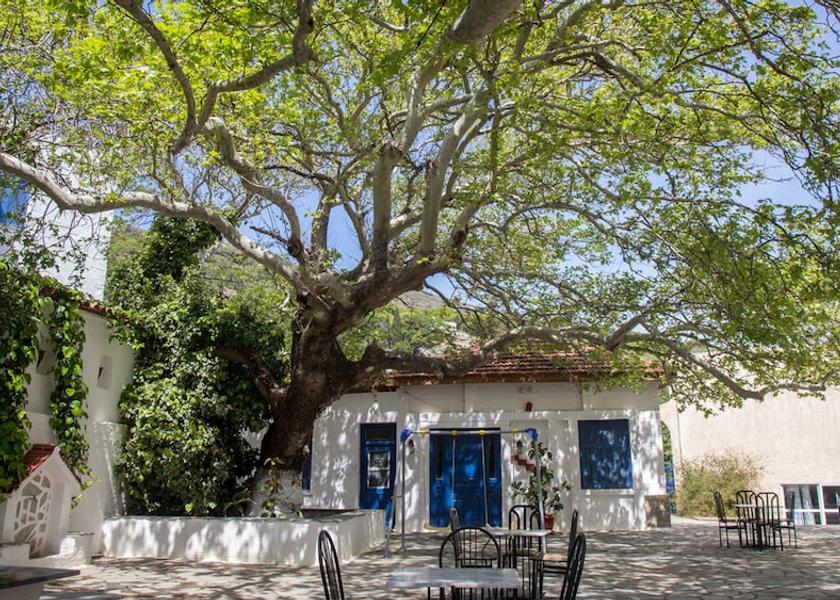 South Aegean Andros Property Grounds