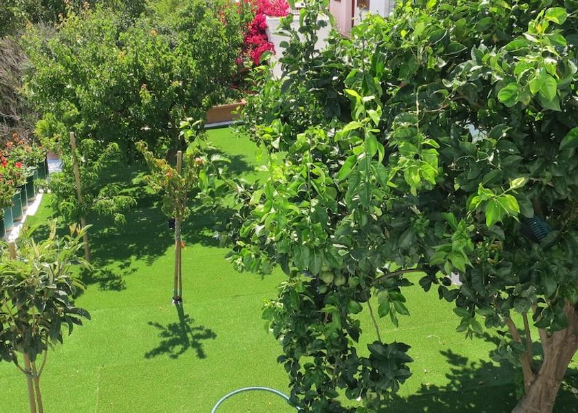 South Aegean Andros Garden