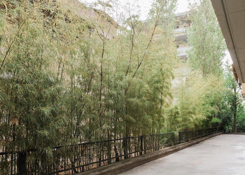 Attica Chalandri Garden View