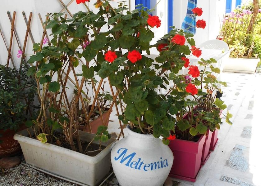 North Aegean Islands Samos Balcony
