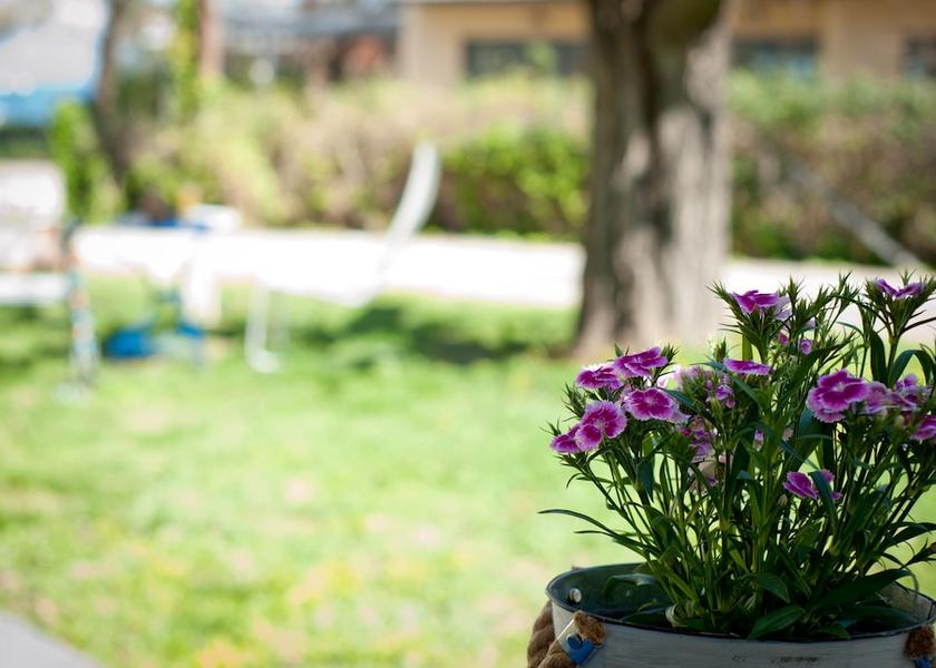 Peloponnese Aigialeia Exterior Detail