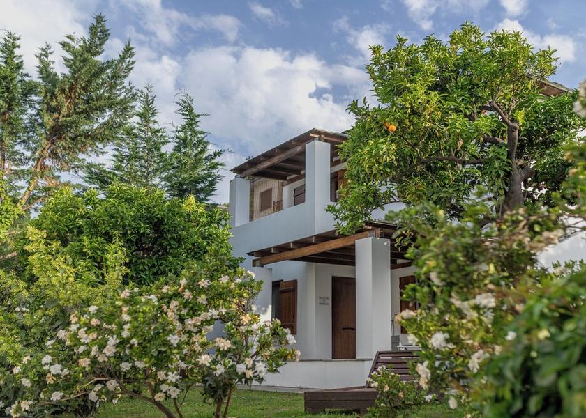 Thessaly Zagora-Mouresi Room