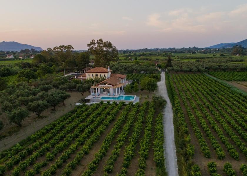 Ionian Islands Zakynthos Room