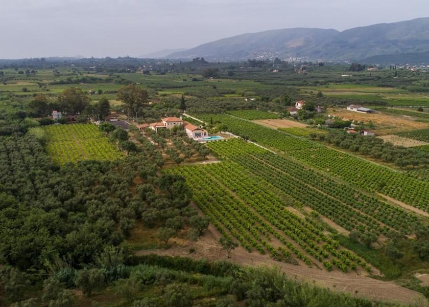 Ionian Islands Zakynthos Room