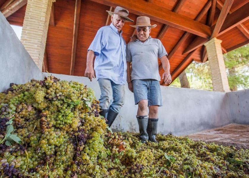 Ionian Islands Zakynthos Room