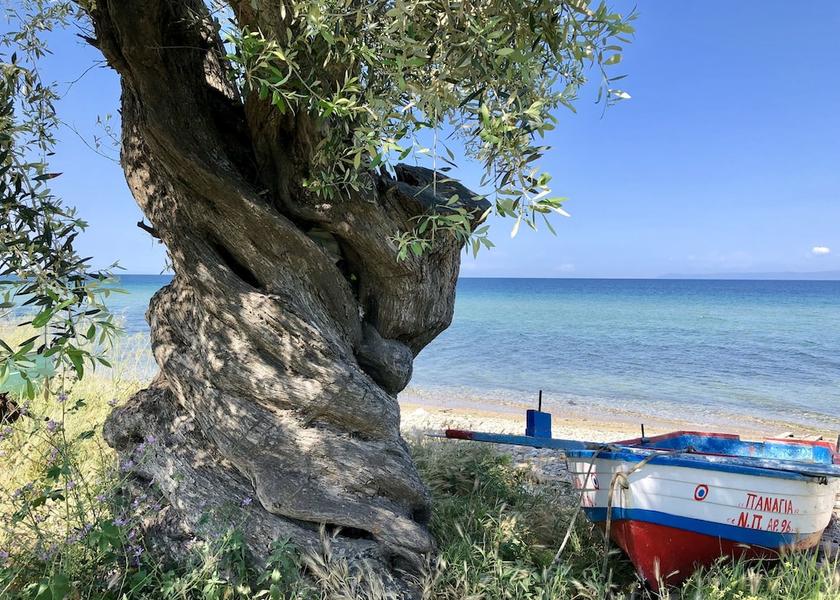Eastern Macedonia and Thrace Thasos Beach