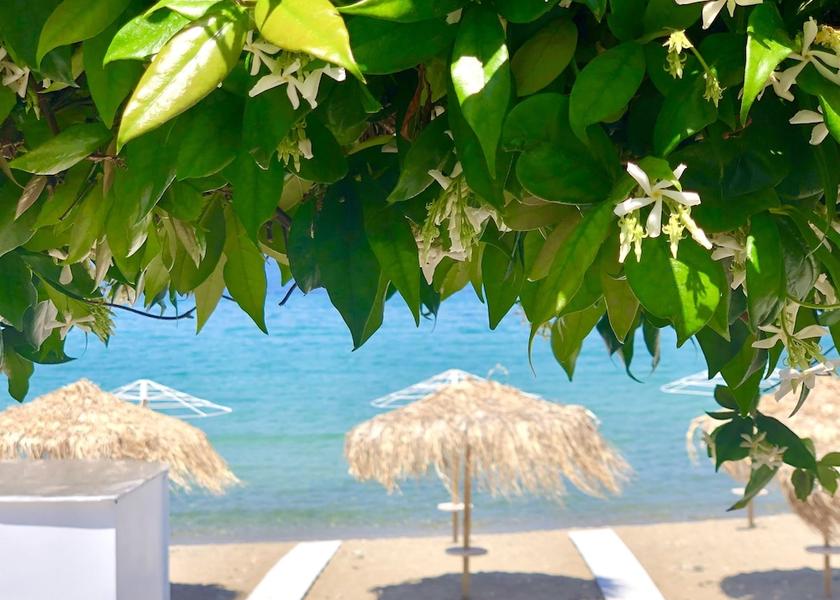 Eastern Macedonia and Thrace Thasos Beach