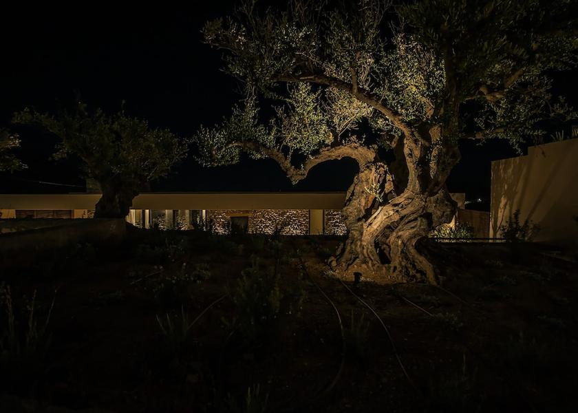 Crete Island Sitia Facade
